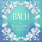 Brandenburg Concerto No. 3 in G Major, BWV 1048: II. Adagio