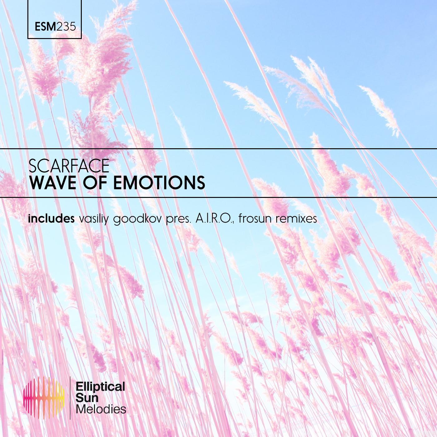 Wave Of Emotions