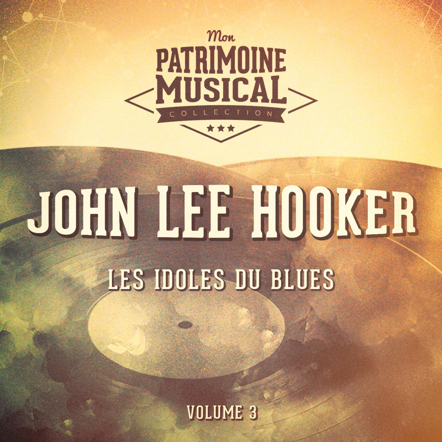 Les Idoles Du Blues: John Lee Hooker, Vol. 3专辑