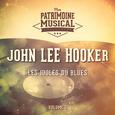 Les Idoles Du Blues: John Lee Hooker, Vol. 3