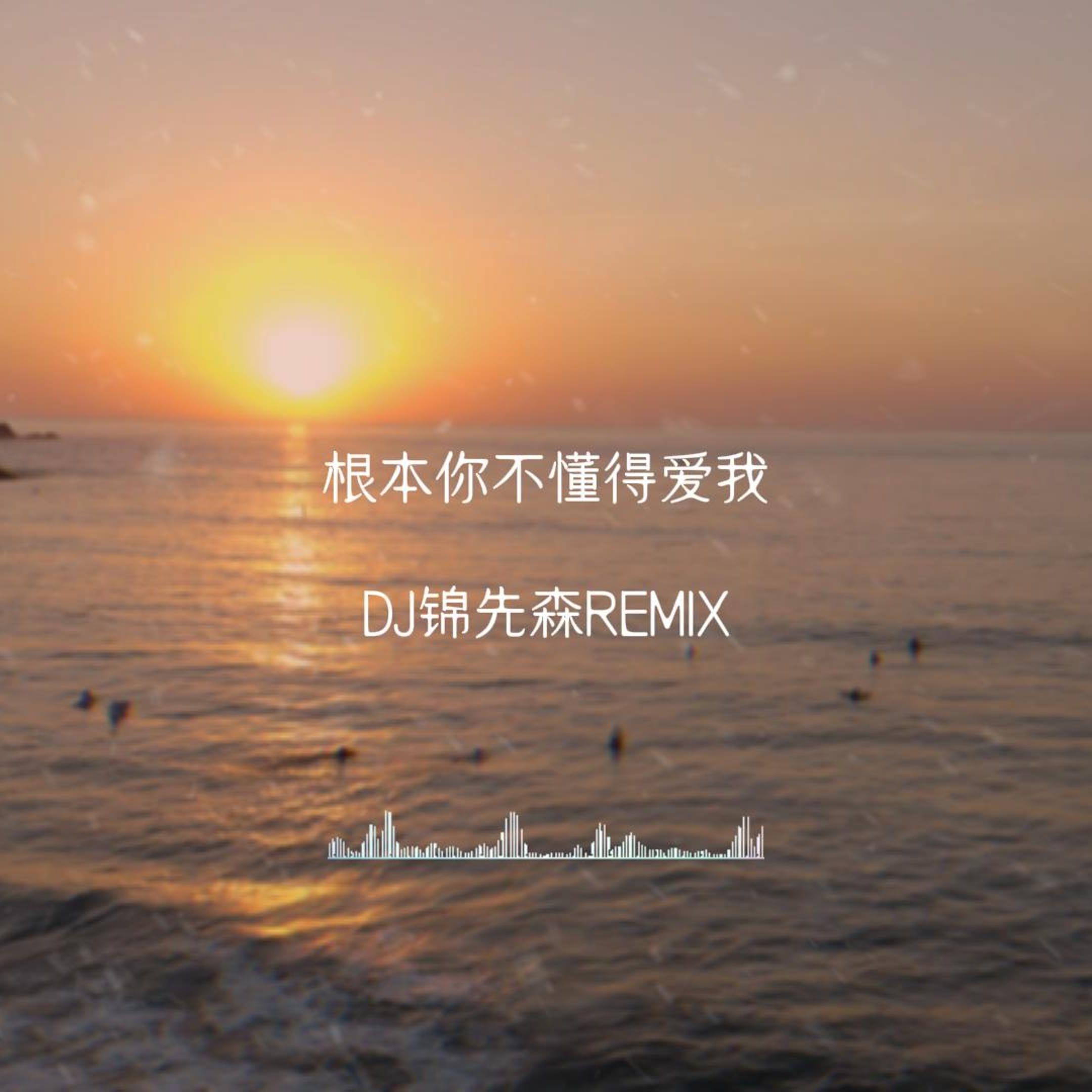 根本你不懂得爱我（DJ锦先森 Remix）