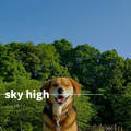 sky high