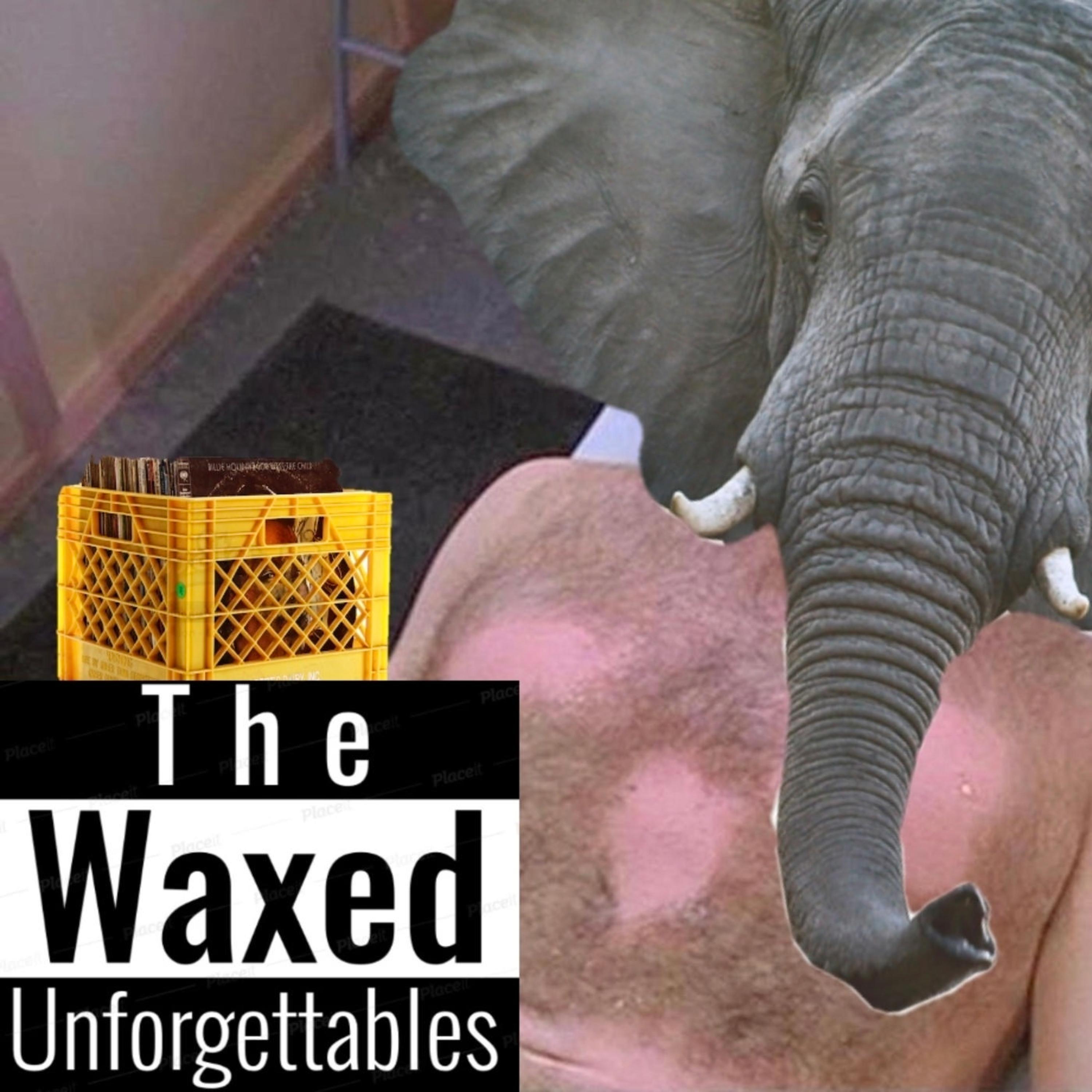 Waxed
