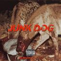 JUNK DOG专辑