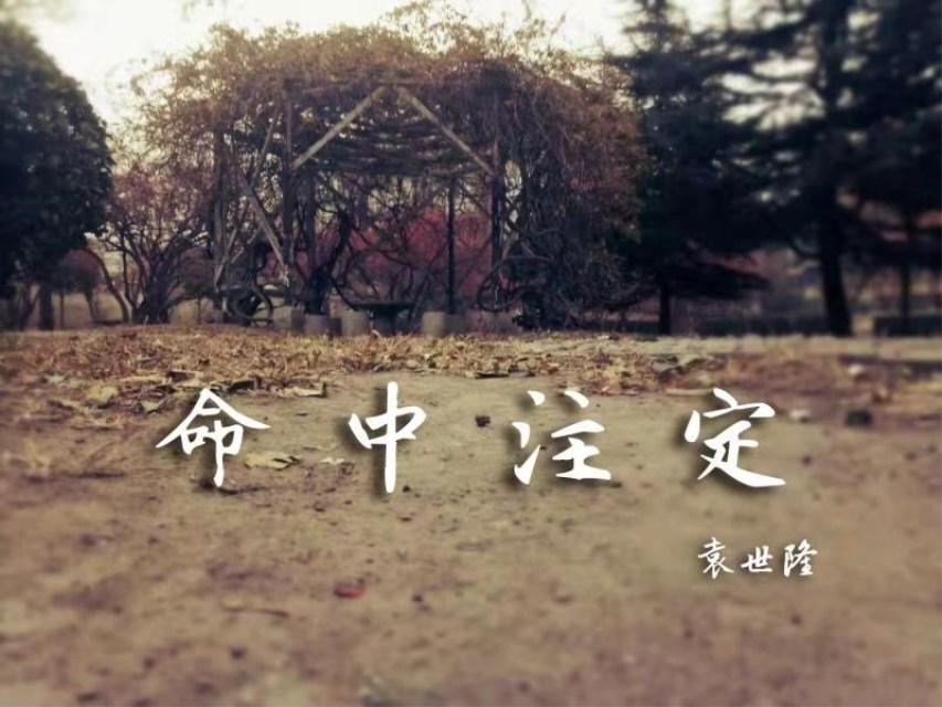 命中注定专辑