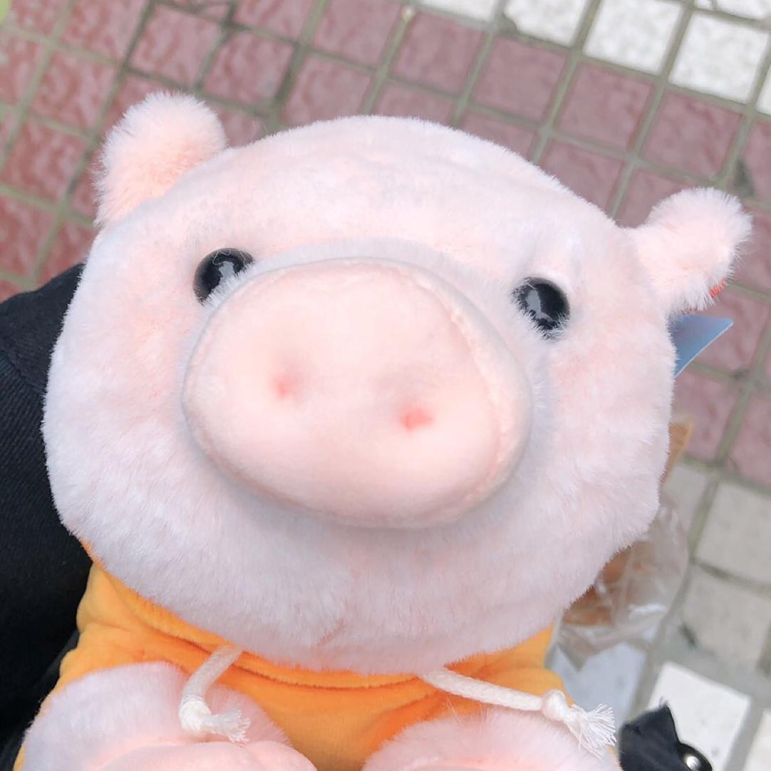 Piggy And Donkey专辑