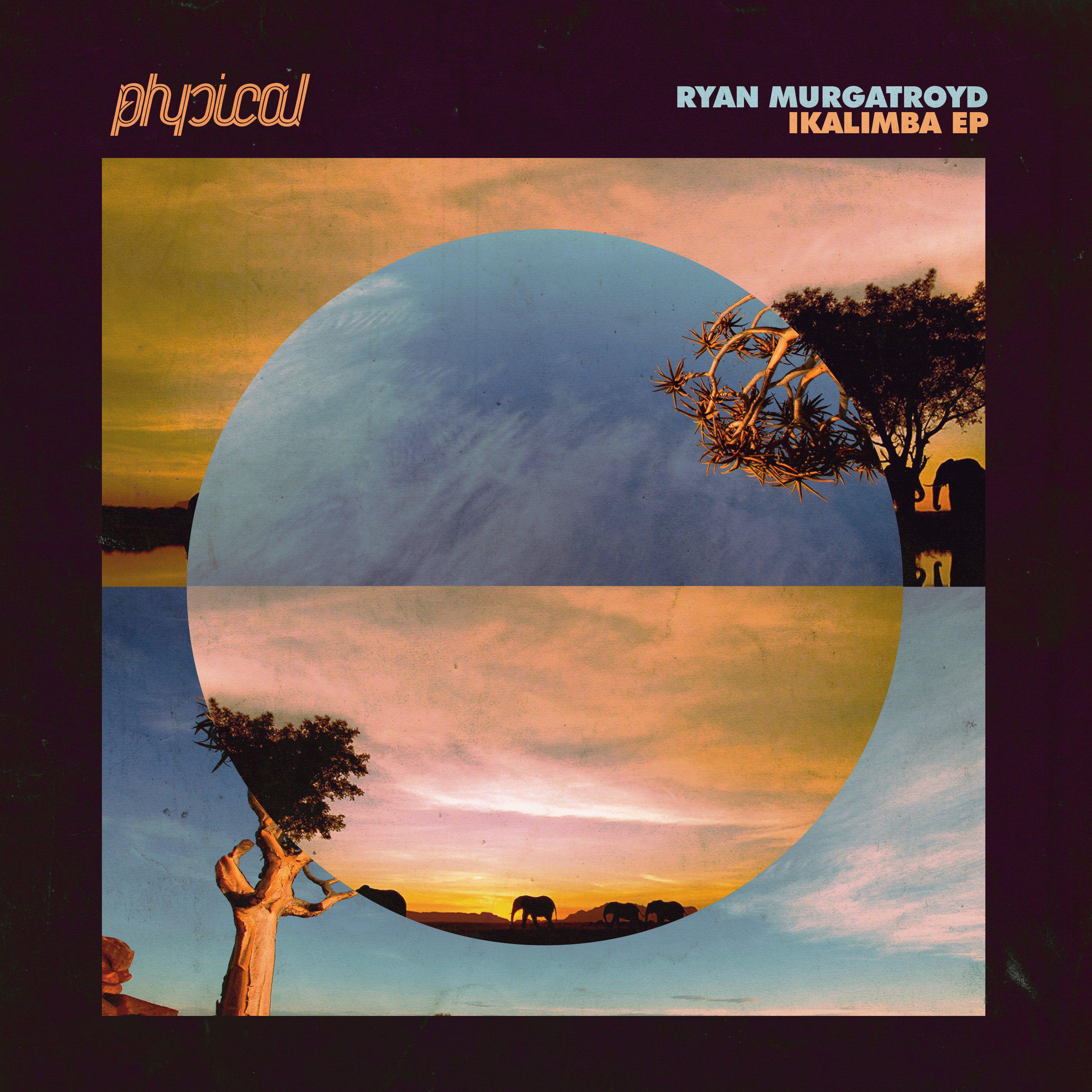 Ryan Murgatroyd - Shamandrums