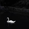 Little Lonely歌手图片