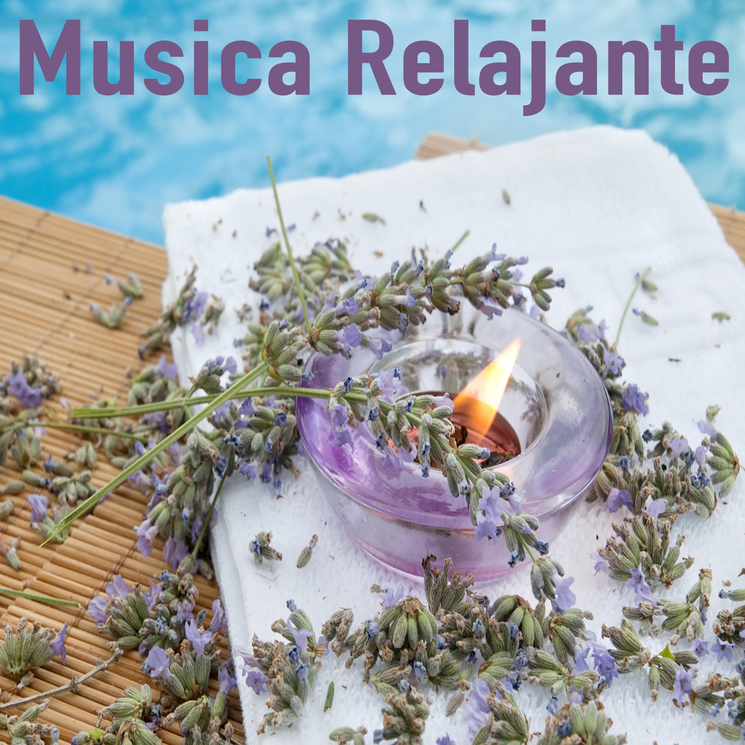 Musica Relajante