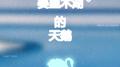 赛里木湖的天鹅专辑