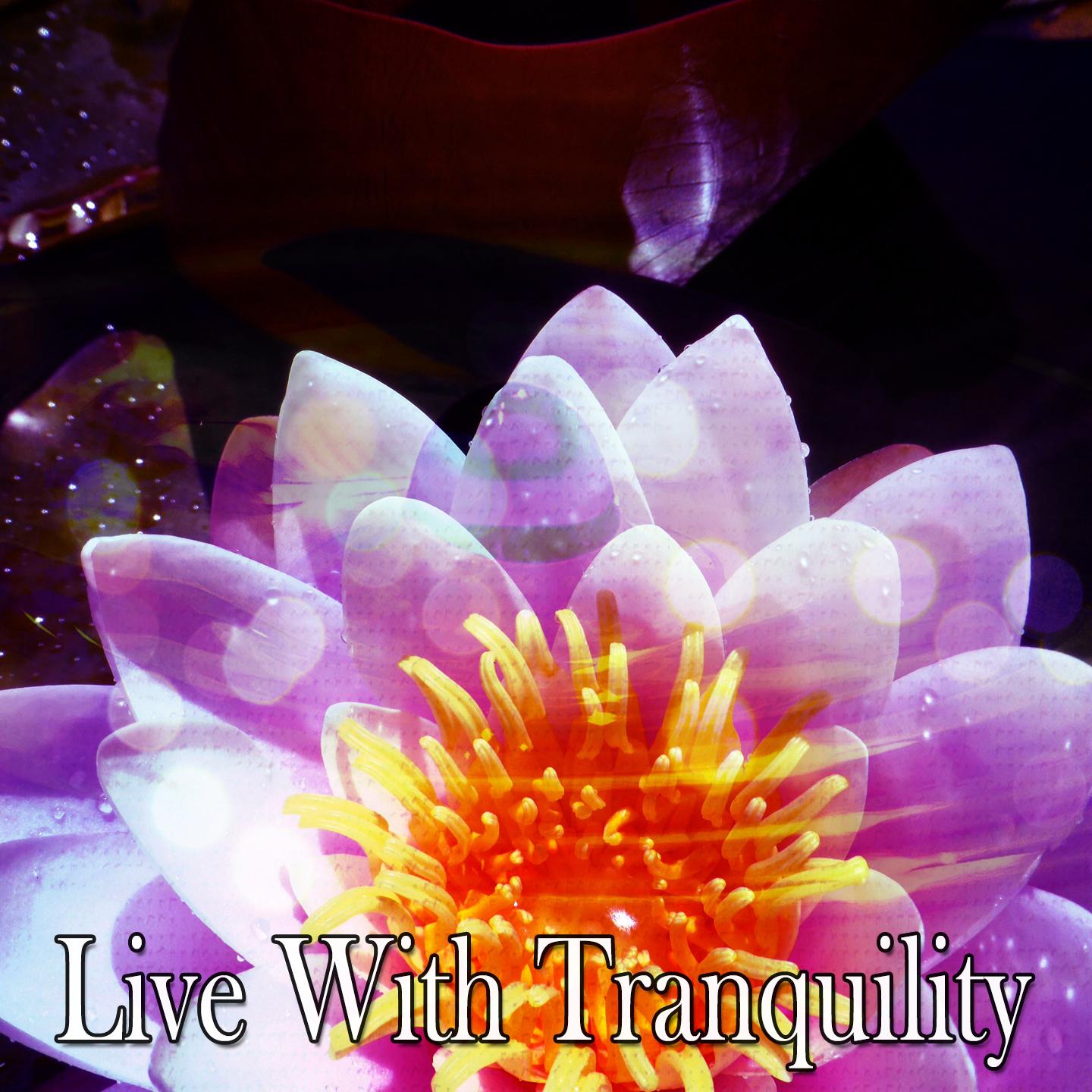 Live With Tranquility专辑