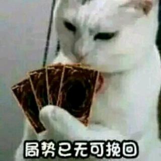 自走棋专用BGM