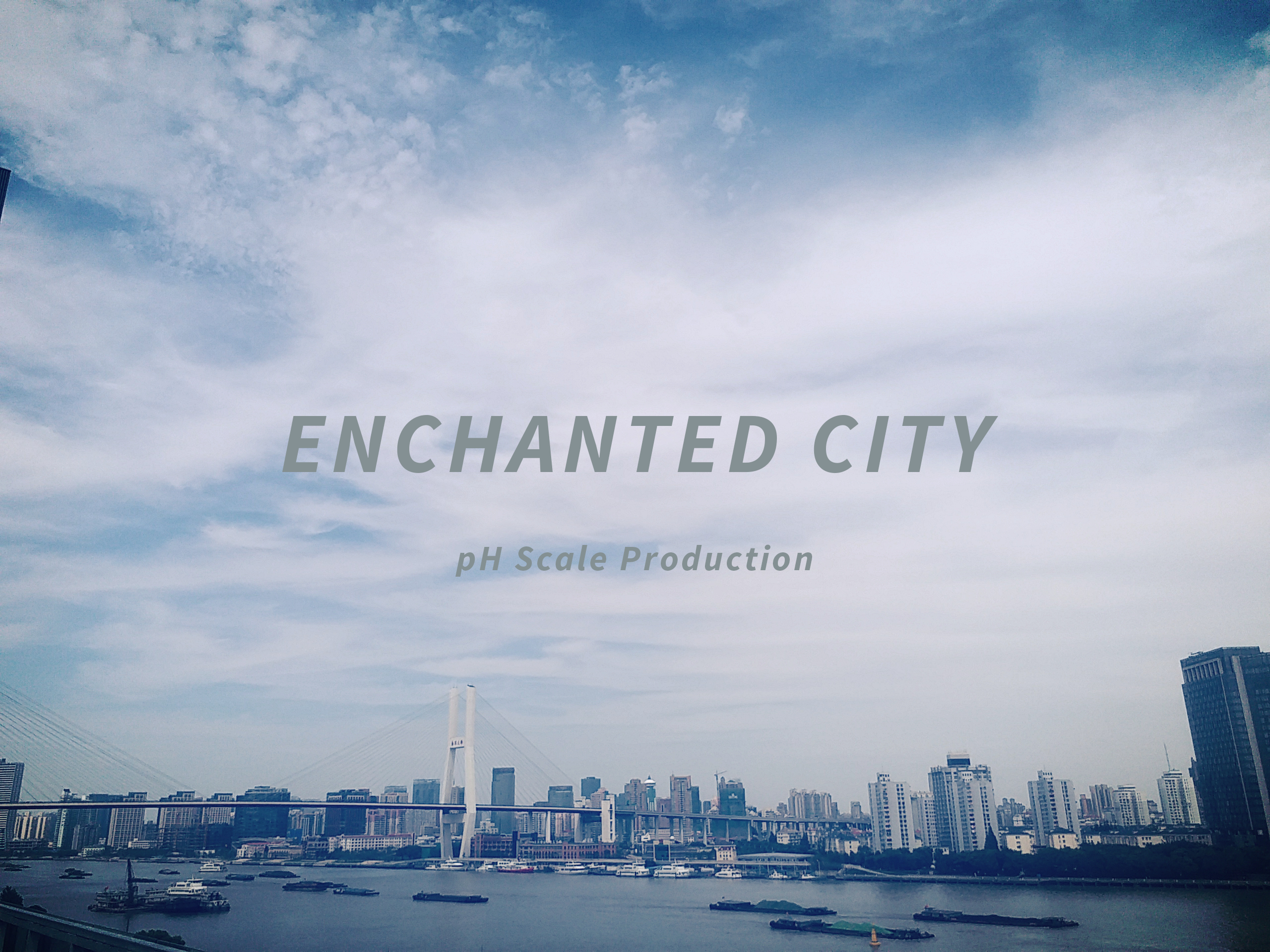 Enchanted City (Original Mix)专辑