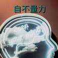 自不量力