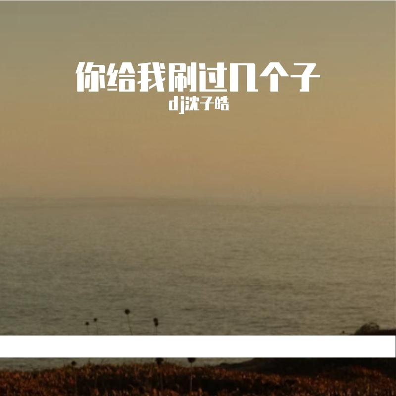 旺仔小乔 - 你给我刷过几个子儿[胖达圆圆 Remix]