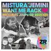 Mistura - Want Me Back (Jimpster Peak Time Deepness)