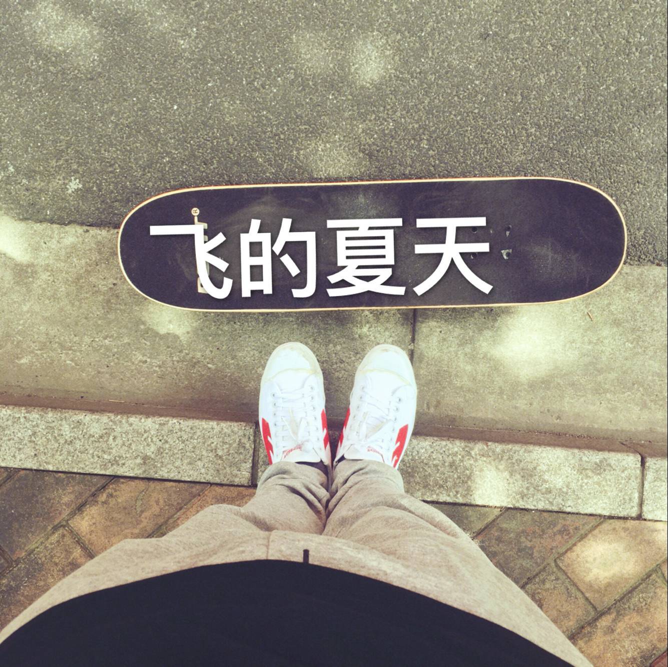 飞的夏天