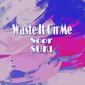 Waste It On Me 翻