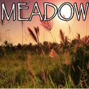 Meadow - Tribute to Stone Temple Pilots专辑