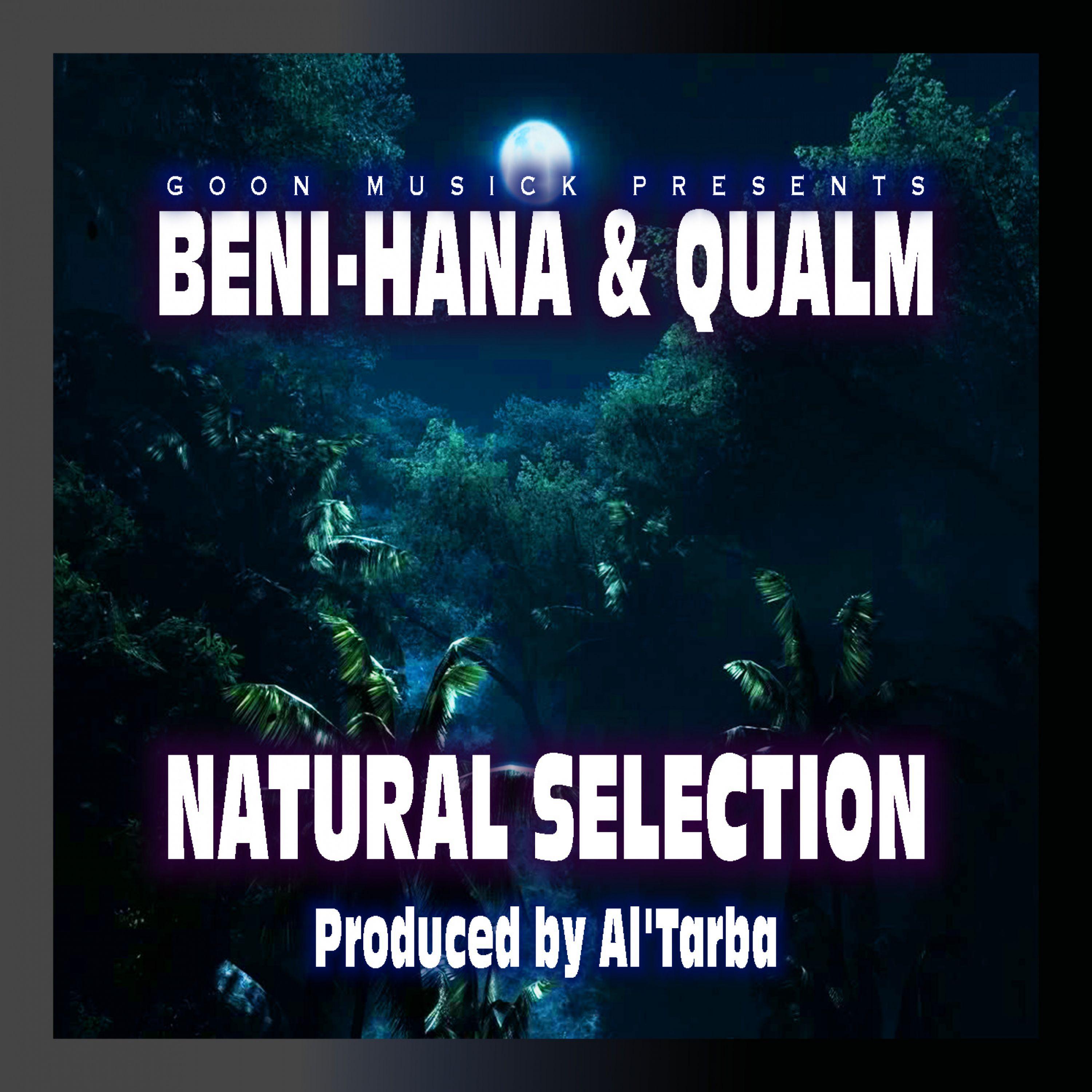 Natural Selection