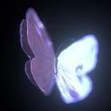 小雨