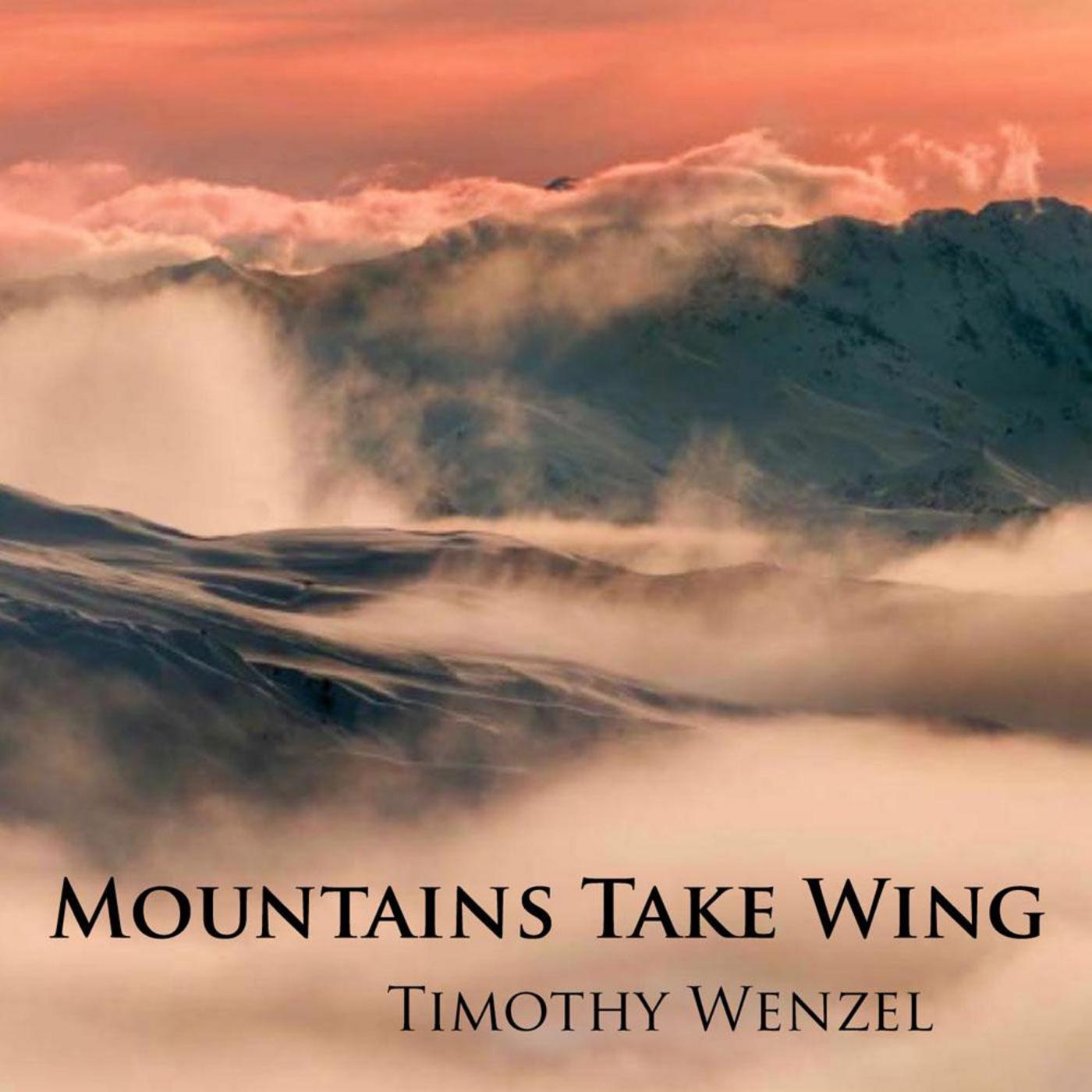 Timothy Wenzel - Flight of the Sandhill Crane