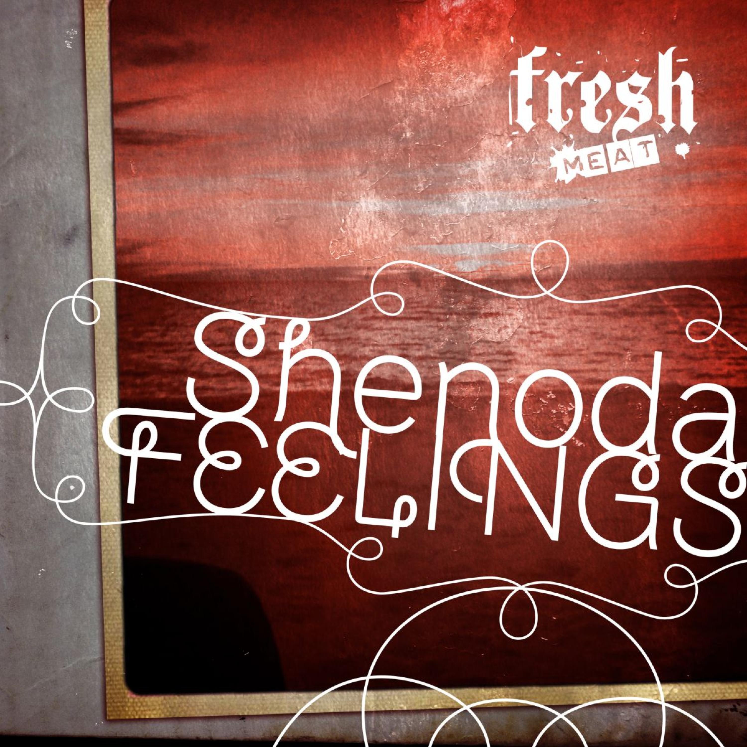 Feelings