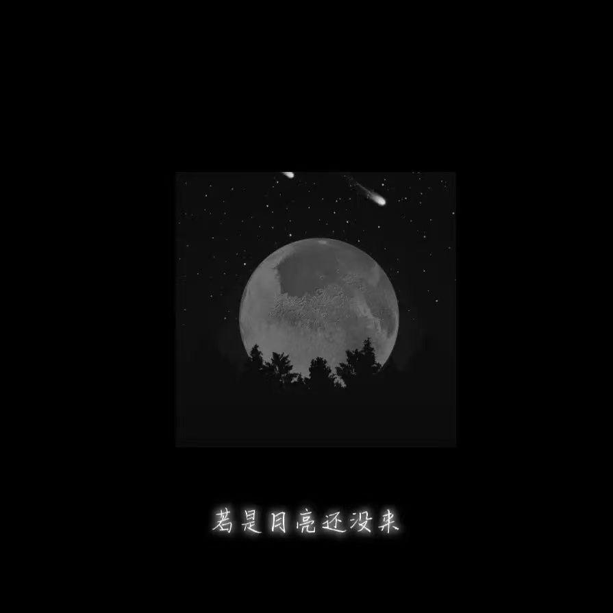 若月亮没来（DJ热播版）