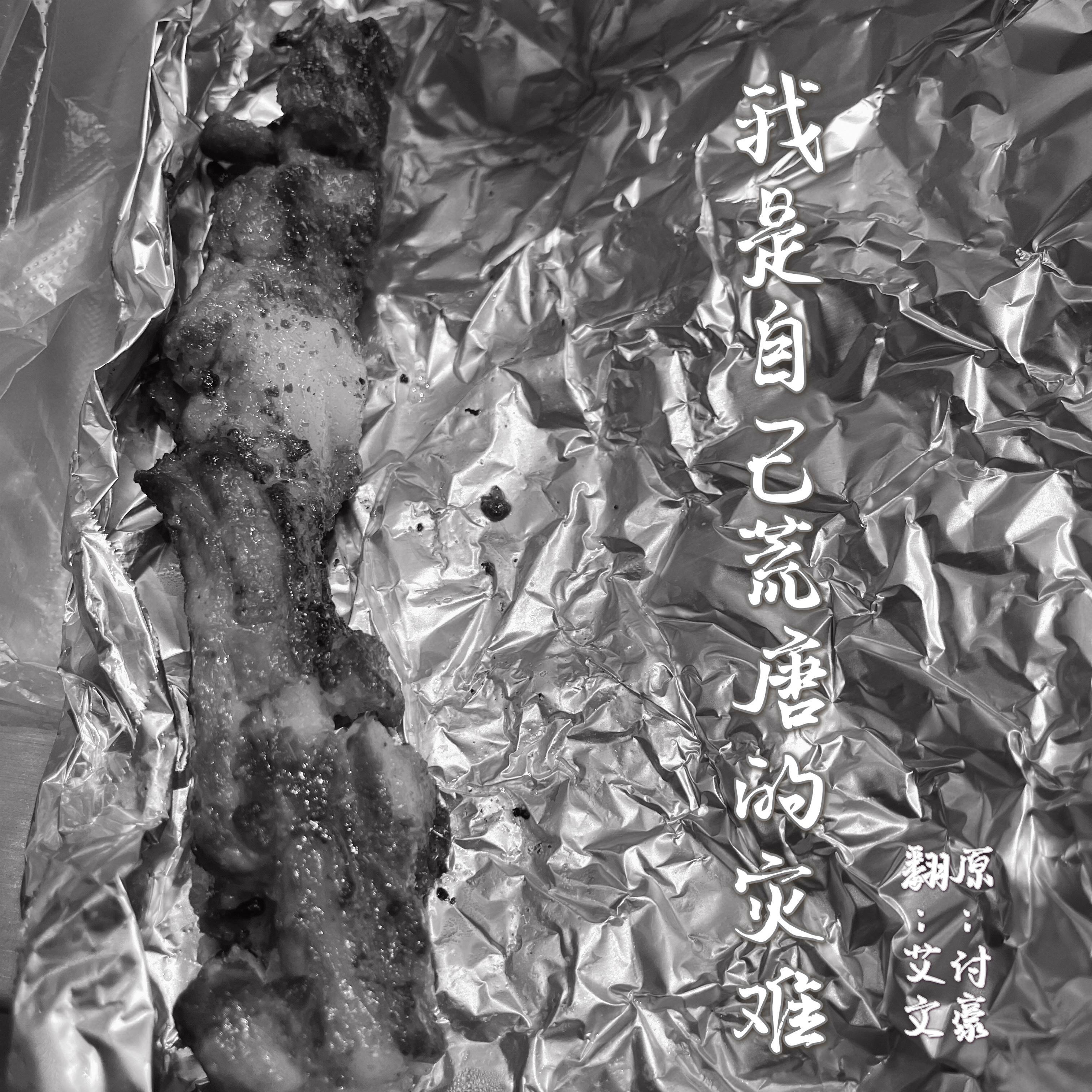 《我是自己荒唐的灾难》（Live翻自HAO付豪）