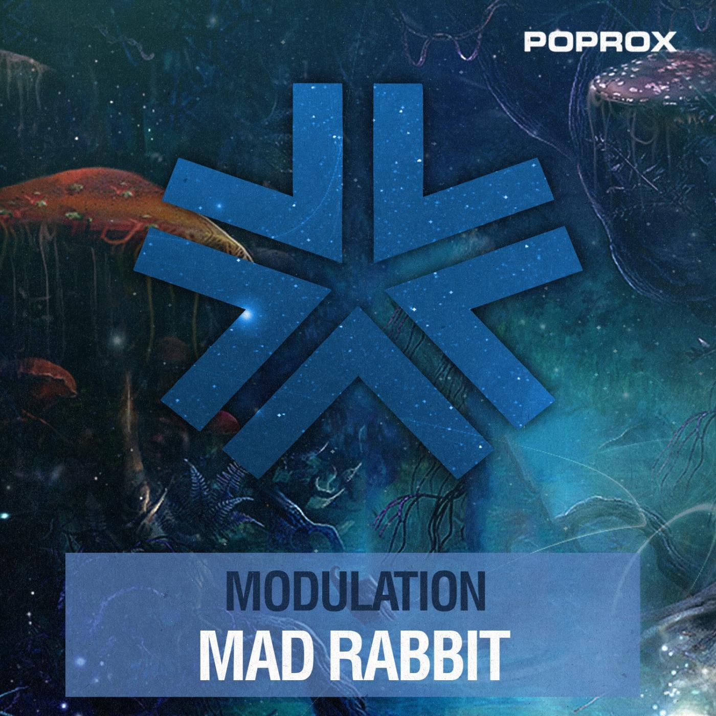 Mad Rabbit专辑