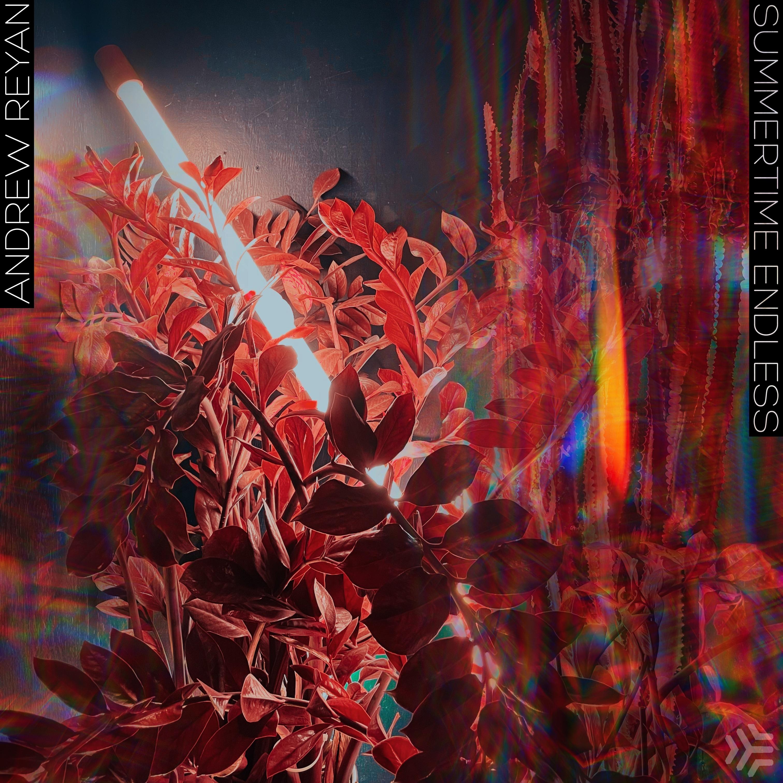 Summertime Endless