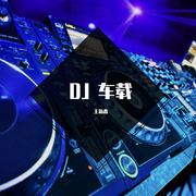 小蓓蕾组合-王新鑫-小蓓蕾合唱团 - 歌声与微笑 DJ 车载版（王新鑫 remix）