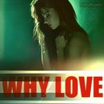 Why Love专辑