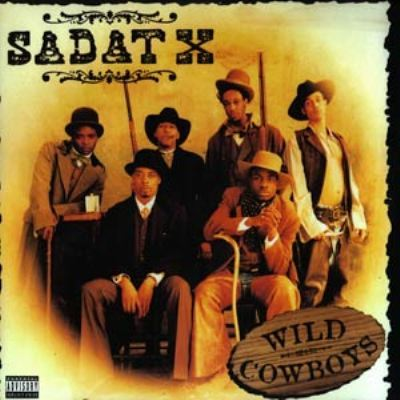 Wild Cowboys