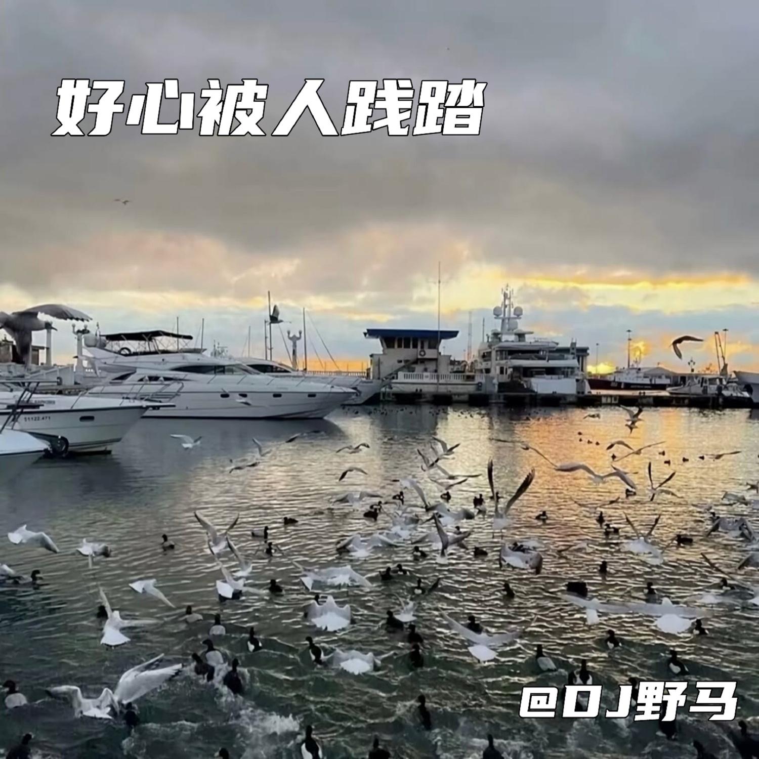 好心被人践踏