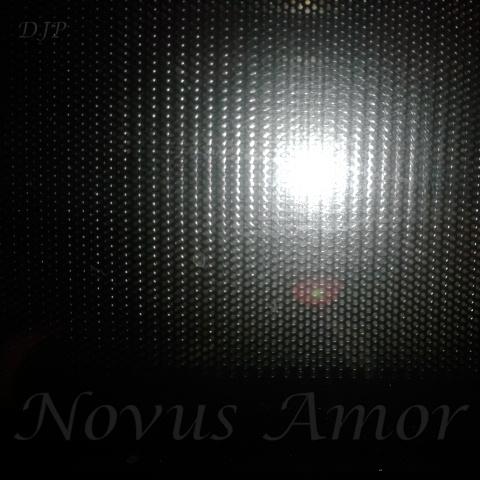 Novus Amor