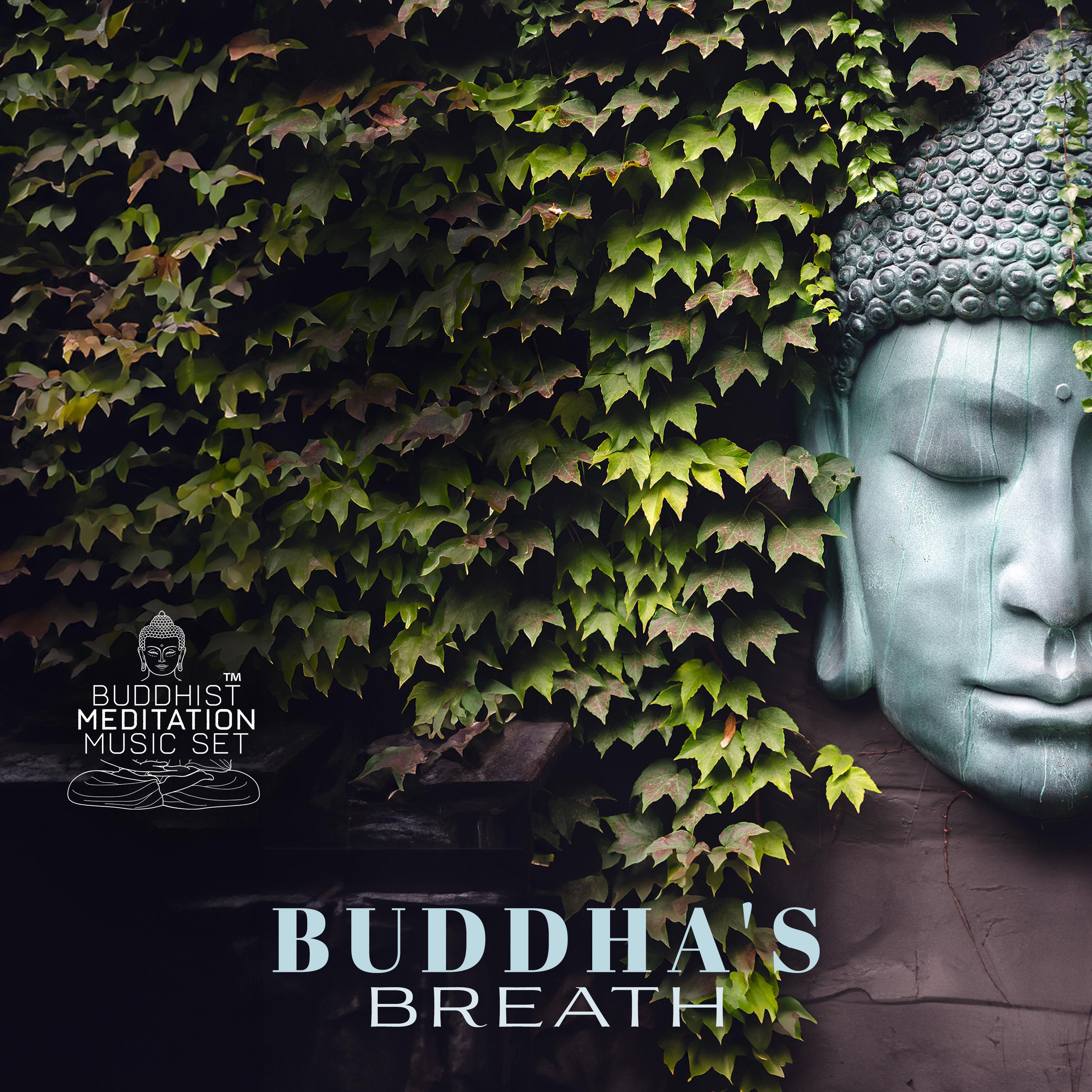 Buddhist Meditation Music Set - Buddha's Lullaby