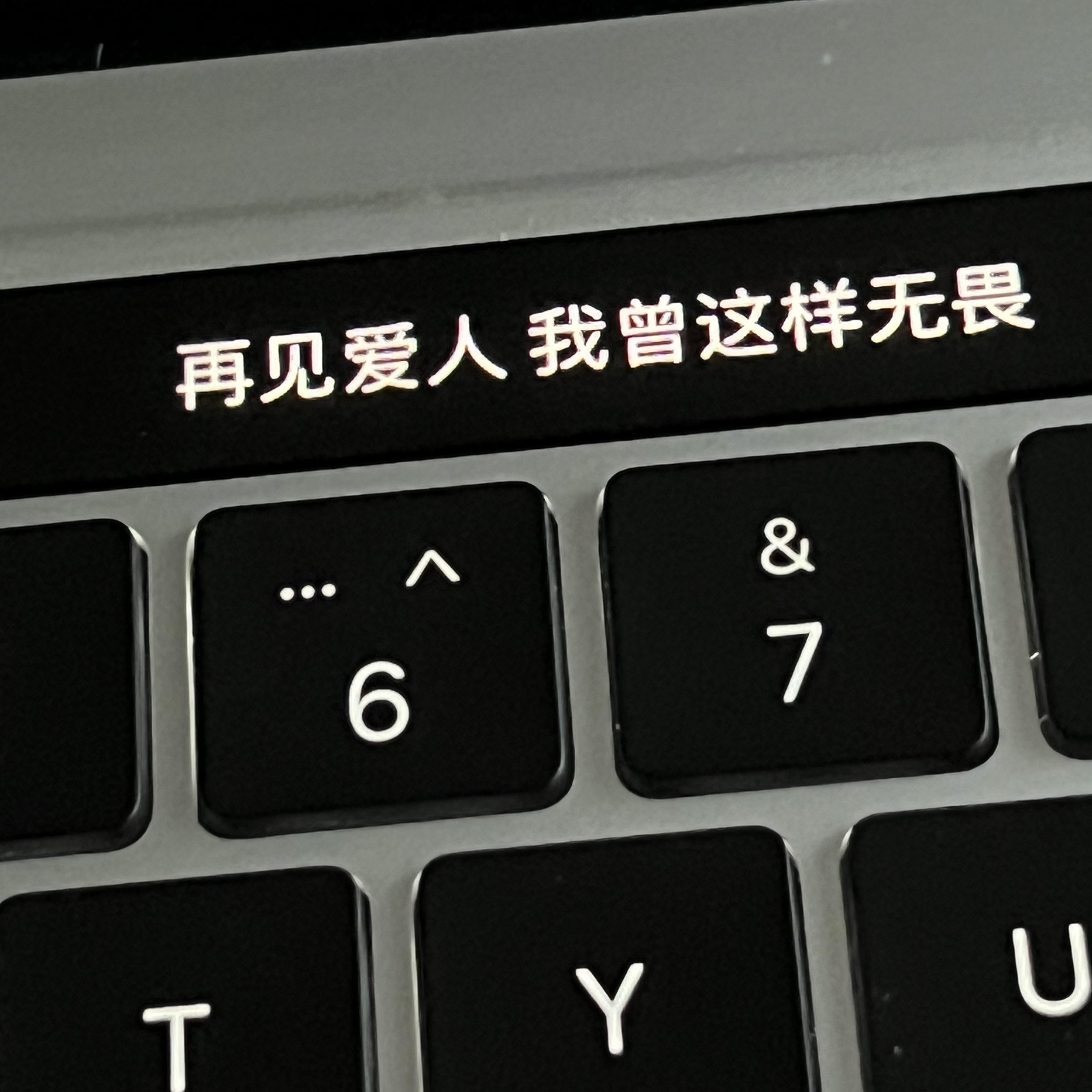 藤上幻花（cover 林倛玉）