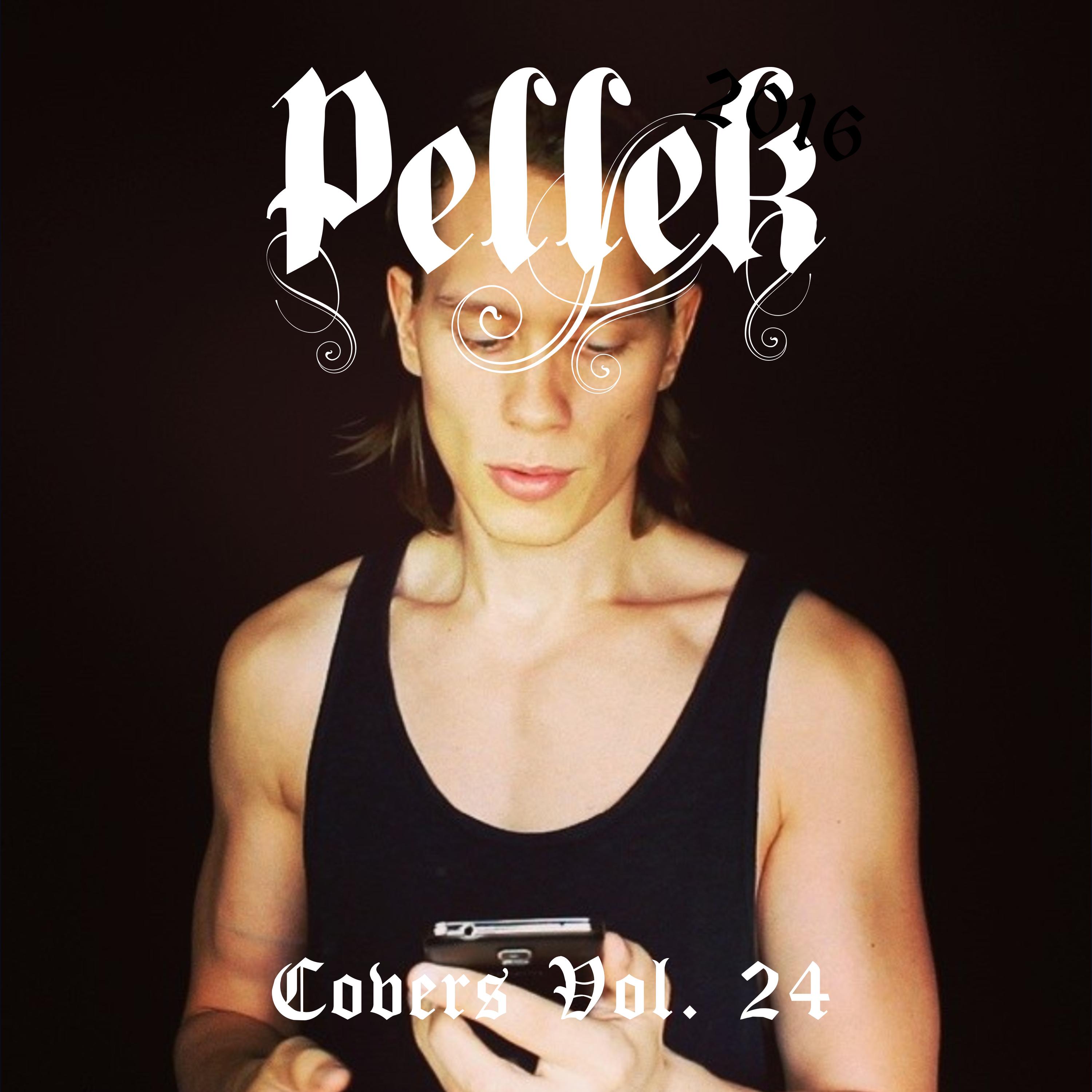 Covers, Vol. 24