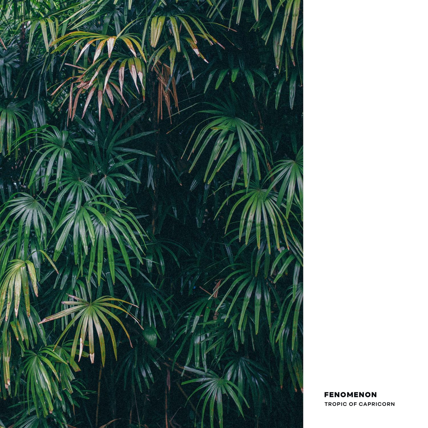 Tropic of Capricorn