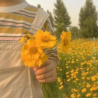 情歌辑｜听听那些快手甜甜情歌