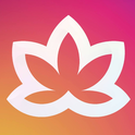 Meditative Mind