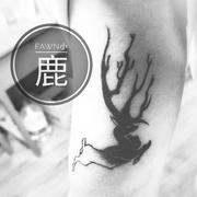 小鹿(fawn)