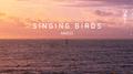 Singing Birds专辑