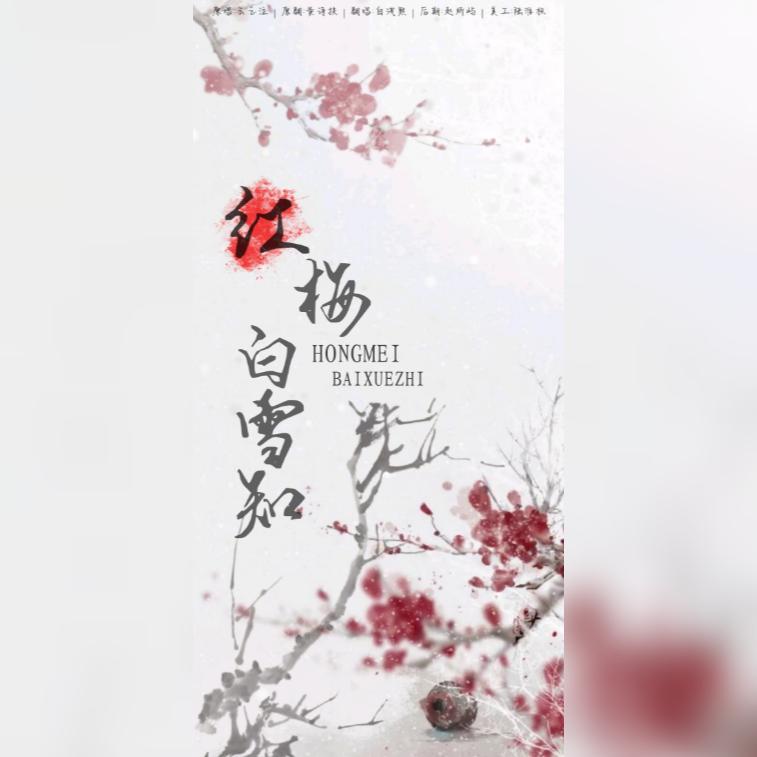 红梅白雪知