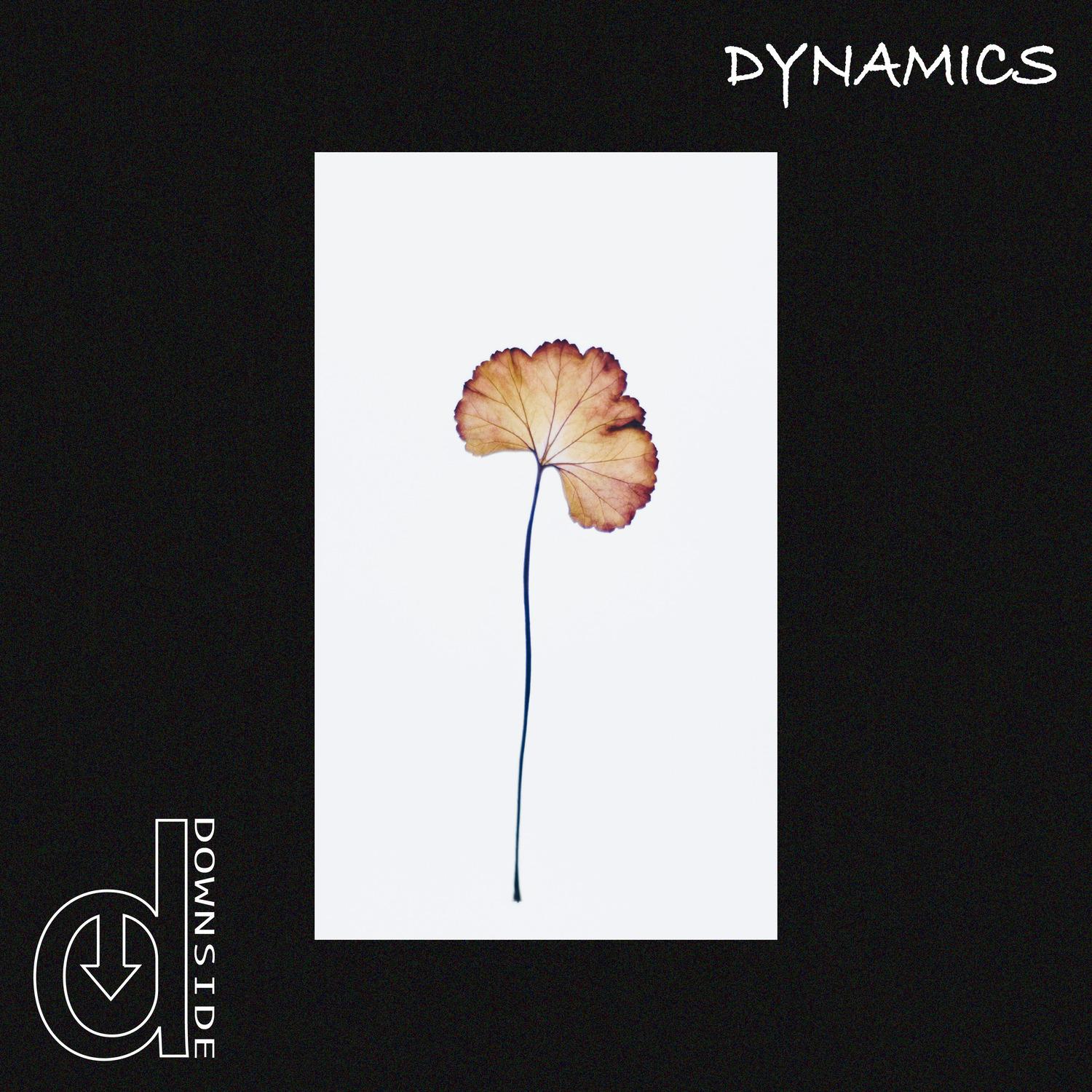 Dynamics