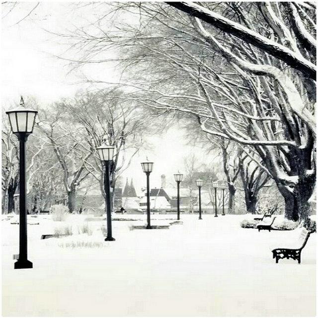 藤乐队歌曲封面