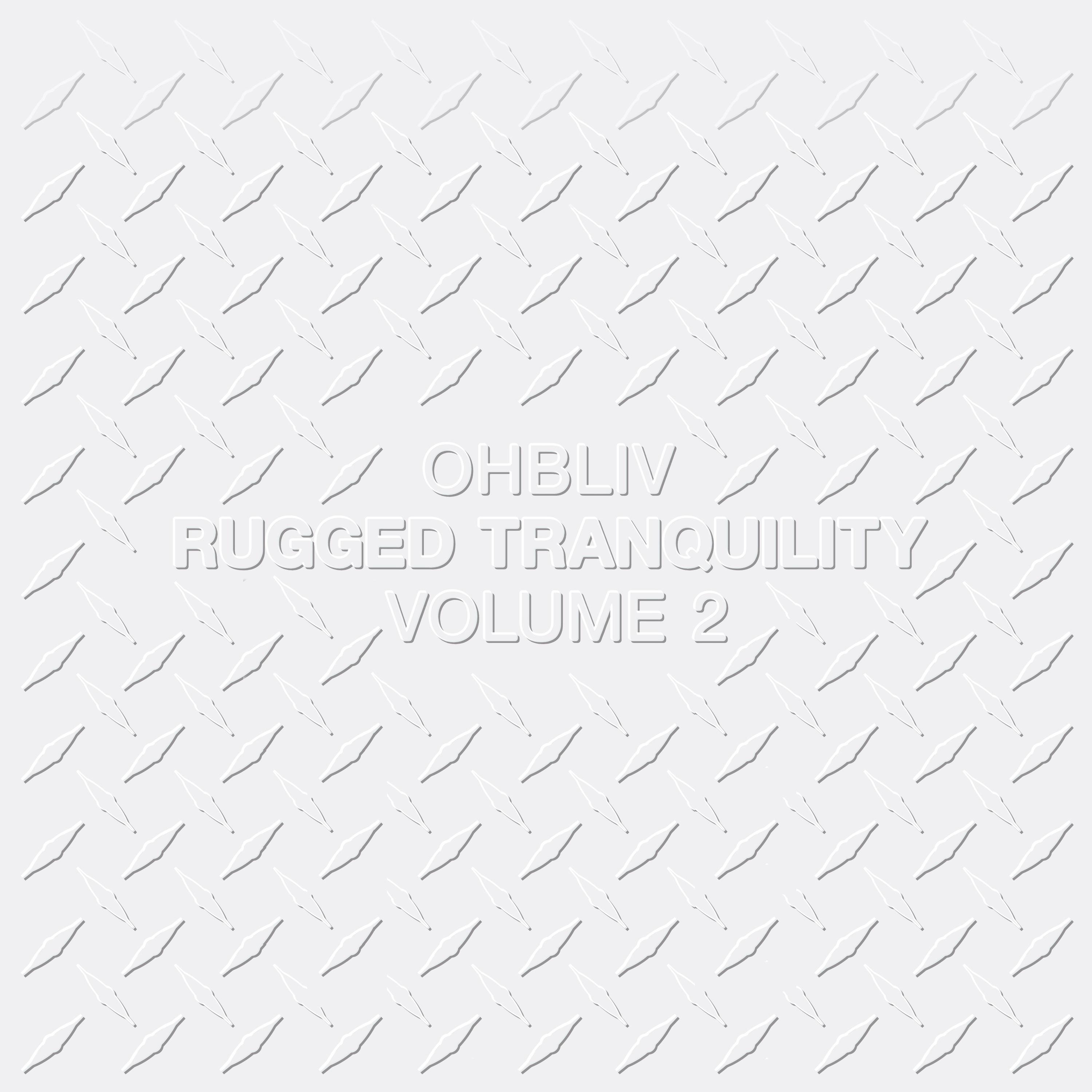 Rugged Tranquility Volume 2