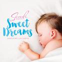 Sweet Dreams专辑