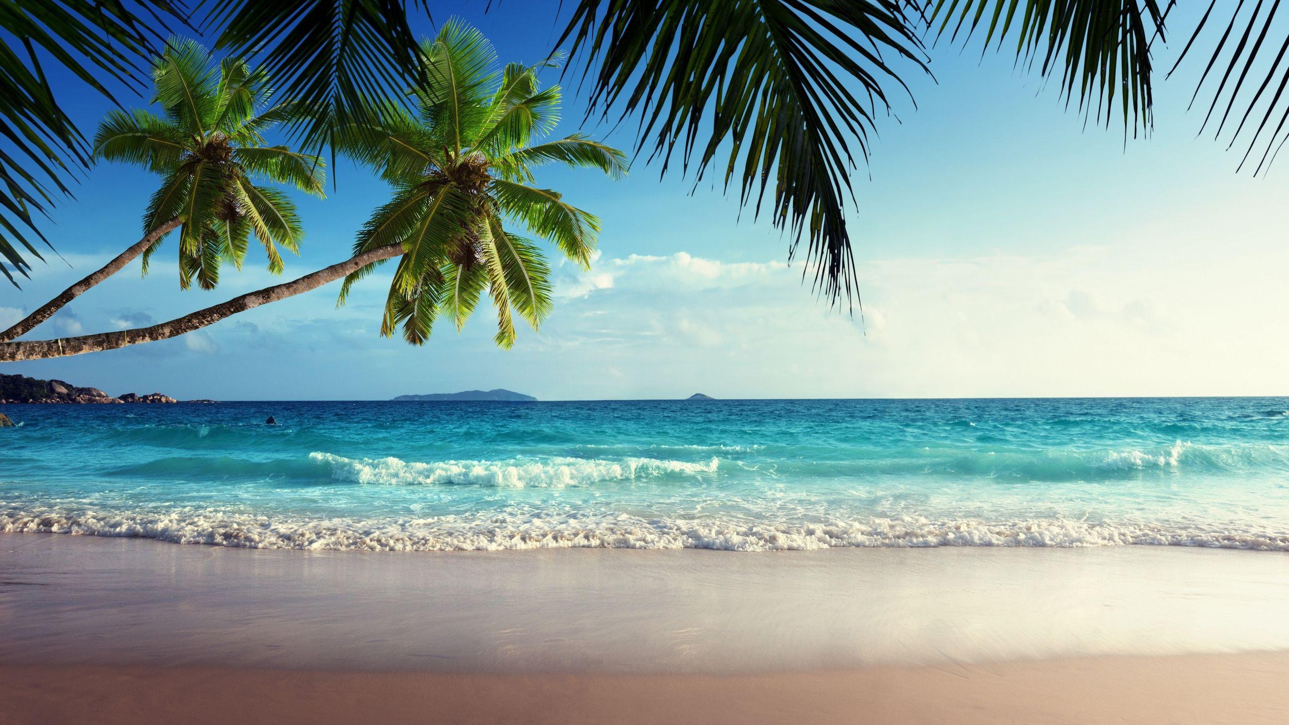 Summer-X